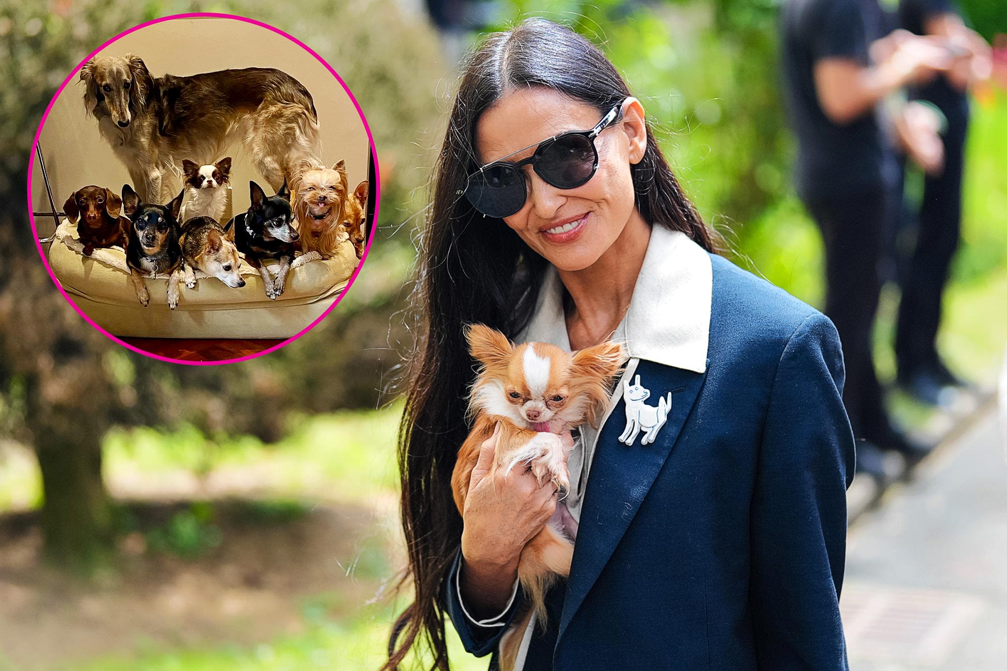 Demi Moore’s Love Life Is Going to the Dogs! Actress Is Putting Her Pets Before Dating