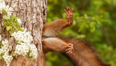 These Comedy Wildlife Photography Awards images will make you smile