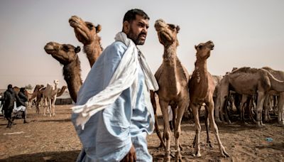 Mers outbreak in Saudi Arabia puts health experts on high alert