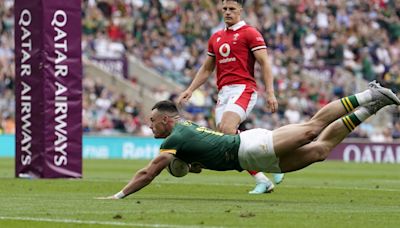 South Africa pull clear in second half to overcome resilient Wales