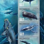 郵票4210：莫桑比克2016年海洋生物 鯨魚抹香鯨 小全張新票外國郵票外國郵票