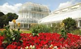 Jardín Botánico de Belfast