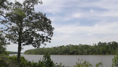 DEP intends to OK exploratory oil drilling in Apalachicola River floodplain