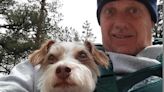 Miracle dog survives after owner dies in Fenn treasure hunt