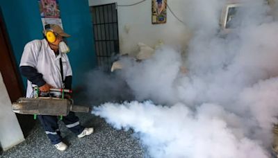 Dengue en Lima y Callao: anuncian fumigación de más de 260 mil casas para eliminar criaderos de zancudos