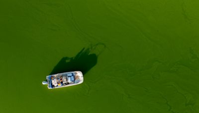 State officials warn of ‘dangerous’ algae bloom in Southern California lake