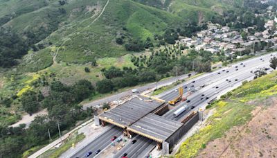 What to Know About the World’s Largest Wildlife Crossing