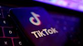 Belgian regional government restricts staff's access to TikTok