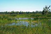 Iroquois National Wildlife Refuge