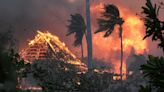 At least 36 killed in Hawaii wildfires as locals dive into sea to escape