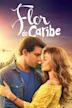 Flor do Caribe