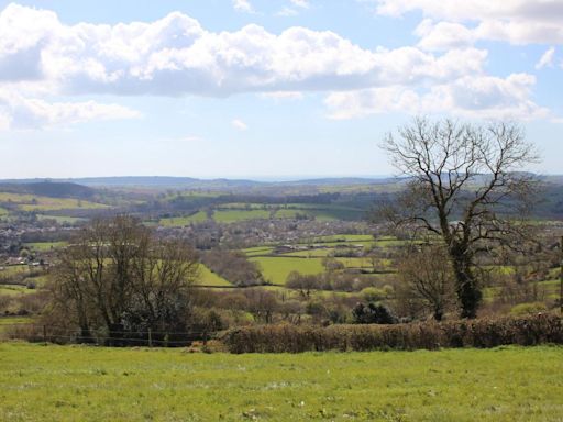 Try this four mile walk following a medieval trackway