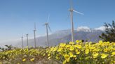 Palm Springs hiking: All skill levels can enjoy the desert's healing power