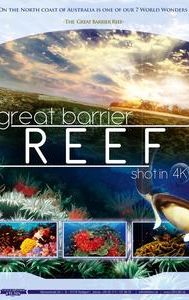 Great Barrier Reef 4K