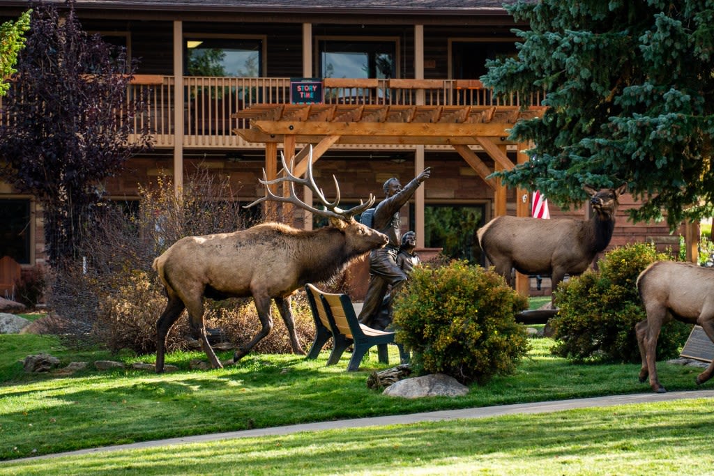 YMCA of the Rockies Spotlight: Nature Workshops of Summer