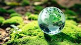OCDE, preocupada por cuidar el medio ambiente | El Universal