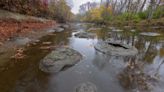 Nature: Ohio's Metzger Preserve harbors strange yet impressive rock formations