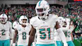 Updated Dolphins Numerical Roster