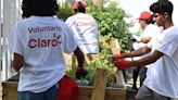 Voluntarios de Claro embellecen la Casa Protegida Julia de Burgos