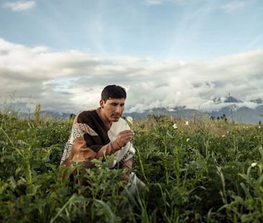 Meet 'potato whisperer' Manuel Choqque Bravo, who grows super potatoes in the Peruvian Andes