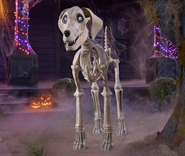 Home Depot's 12-Foot Skeleton Now Has a Bony, Doggy Friend