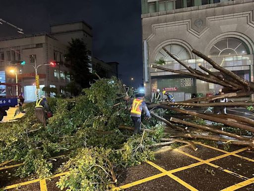 台中整夜風雨路樹災情最慘 2地下道積水封閉今搶通