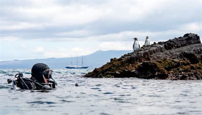 A Galápagos Homecoming