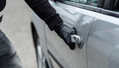 Juvenile car thefts remain higher than pre-pandemic levels: How cases are handled