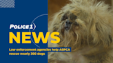 Law enforcement agencies across 4 states help ASPCA rescue nearly 300 dogs