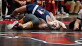 Check out the 48 Lafayette-area wrestlers who qualified for IHSAA semistate