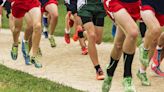 Wilde’s No. 1 finish paces Liberty North to boys championship in Missouri cross country