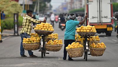 Mango farmers in Rajampeta at crossroads