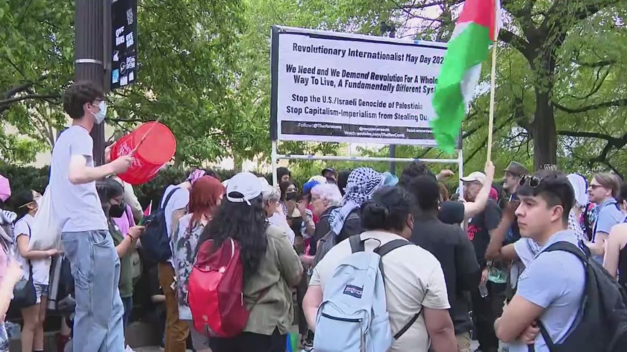 Dozens arrested after pro-Palestinian demonstrators rally at Art Institute of Chicago