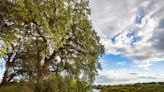 This Scenic River Junction Is California’s Newest State Park