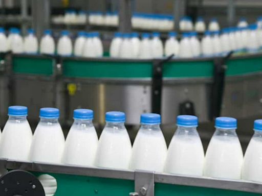 Sector lechero en Colombia toma medidas para combatir crisis; producto tendría cambio