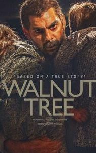 Walnut Tree