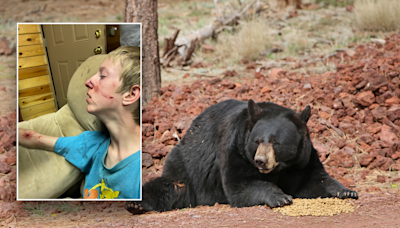 Teen miraculously survives bear attack after brother rescues him: 'A blessing'