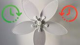 Which way to switch your ceiling fan in the summer