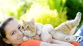 Hospital Cat ‘Henry’ Brings Comfort to Teenage Girl in UK