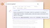 DuckDuckGo's AI assist feature summarizes Wikipedia pages to answer search queries