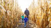 Corn Maze Inspired By 60 Years of 'James Bond' Films Opening This Fall