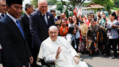 Pope Francis calls out lack of parents, laments many adults 'have a cat or a little dog instead of a child'