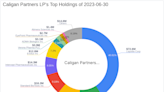 Caligan Partners LP Boosts Stake in Anika Therapeutics Inc