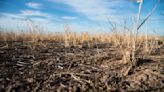 “La bomba del clima está por detonar”: el lapidario informe sobre el calentamiento global que busca reducir el riesgo ambiental