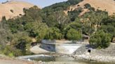 11-year-old girl drowns in Bay Area creek