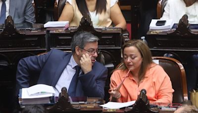 Unión por la Patria pidió que Sandra Pettovello comparezca ante el Congreso por los alimentos