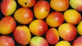 Fruit tree sale spotlights varieties suited to the Space Coast