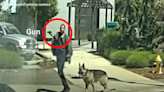 Authorities release footage of police shooting man after report of gun and 'aggressive German shepherd'