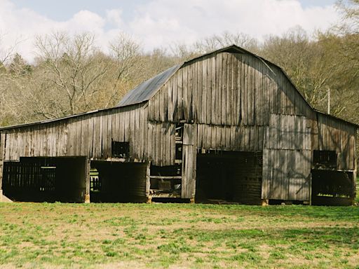 Meet the American who taught Jack Daniel to make whiskey: Nearest Green, Tennessee slave, master distiller