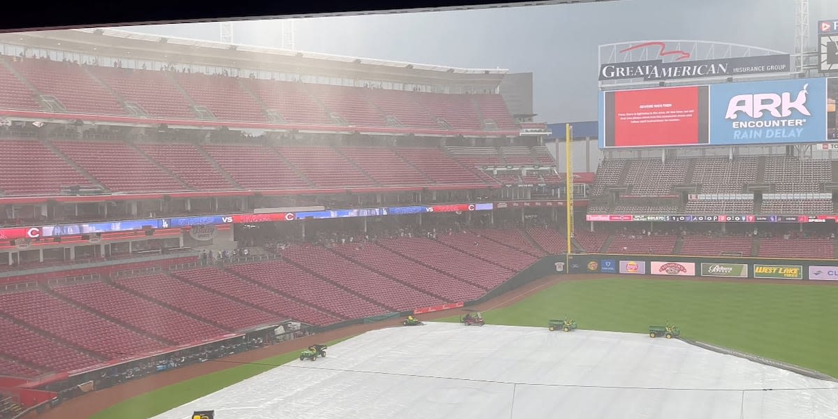 Reds vs. Dodgers game has resumed
